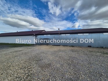 magazyn na wynajem 200m2 magazyn Biała Dolna