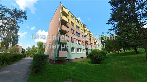 mieszkanie na sprzedaż 38m2 mieszkanie Brodnica, Brodnica