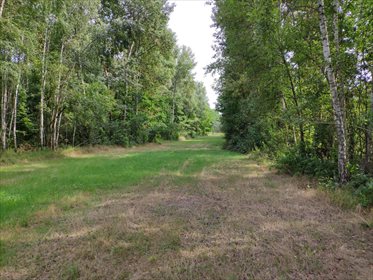 Działka budowlana na sprzedaż Chotyłów 8 503m2 Foto 4