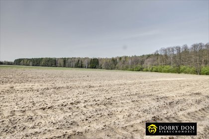 działka na sprzedaż 14000m2 działka Hołody