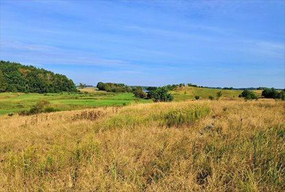 działka na sprzedaż 1500m2 działka Ławy