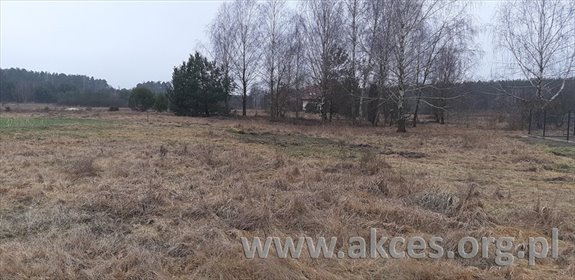 Działka 3060 m² pod zabudowę (Marianów, media w ulicy) działka Marianów