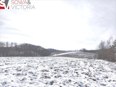 działka na sprzedaż 3600m2 działka Wałbrzych, Lubiechów
