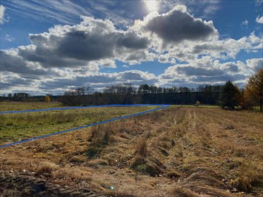 działka na sprzedaż 2300m2 działka Sasiny