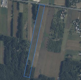 Działka 49 008 m² przy drodze krajowej 92 polecam działka Jagodne