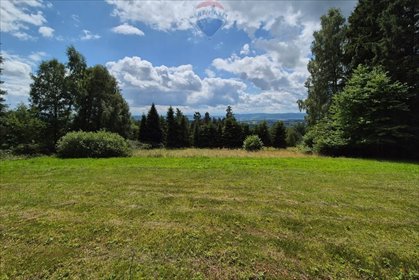 działka na sprzedaż 3502m2 działka Naprawa