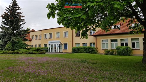 lokal użytkowy na wynajem 42m2 lokal użytkowy Piła, Górne