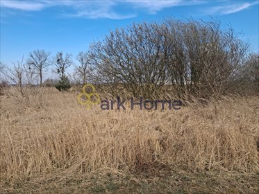 działka na sprzedaż 6591m2 działka Bełchatów