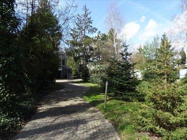 dom na wynajem 260m2 dom Złotniki, Obornicka