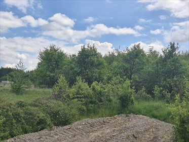 Działka 4340 m² pod inwestycję lub rekreację (okolice Częstochowy) działka Poczesna, BRZEZINY KOLONIA