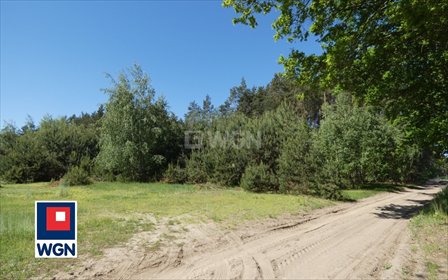 Malownicza działka pod dom w otoczeniu lasu, 4166 m2 działka Godziesze Wielkie, Saczyn