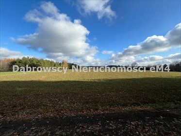 Działka rolna 20 360 m² z możliwością powiększenia działka Planteczka