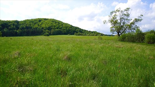 działka na sprzedaż 10000m2 działka Hańczowa