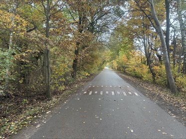 działka na sprzedaż 2059m2 działka Warszawa, Wawer, Aleksandrów Drugi