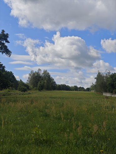 Zapraszam do zakupu działek 6400 m² w Kępiaste działka Kępiaste