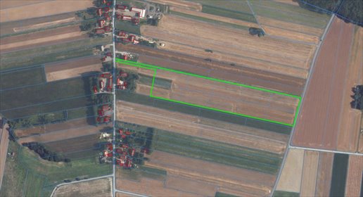 Zapraszam do zakupu działki 39 157 m² z MPZP w Miechowie działka Miechów