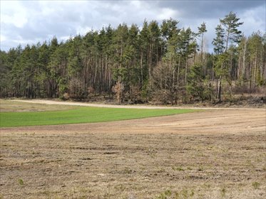 działka na sprzedaż 9990m2 działka Mściszewice, Leśna