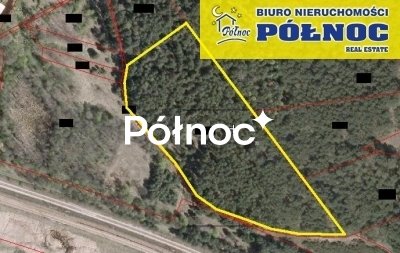 działka na sprzedaż 15000m2 działka Kolbark