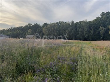 działka na sprzedaż 1888m2 działka Radziwiłłów