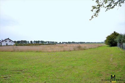 Polecam działkę siedliskową 3 139 m² z mediami i dobrym dojazdem działka Robuń