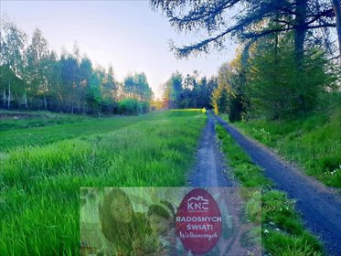działka na sprzedaż 3200m2 działka Zemborzyce Podleśne