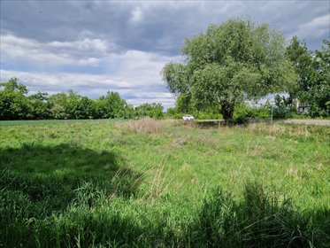 Działka budowlana na sprzedaż Mikołów, Paniowy, Mokierska 1 047m2 Foto 4