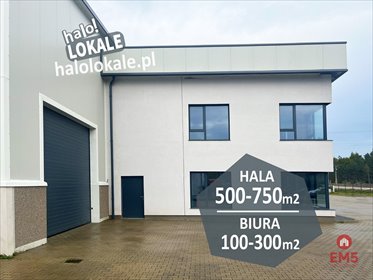 lokal użytkowy na wynajem 600m2 lokal użytkowy Białystok, Wygoda