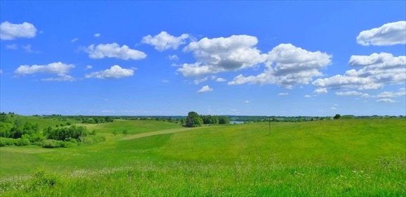 działka na sprzedaż 10000m2 działka Szelment