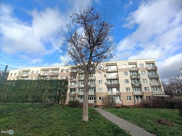 mieszkanie na sprzedaż 43m2 mieszkanie Kielce, Centrum, Centrum