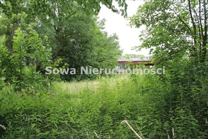 Działka budowlana na sprzedaż Wojcieszów 16 349m2 Foto 1