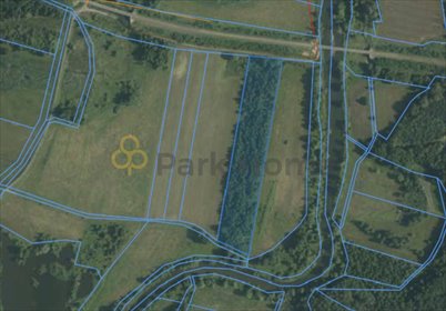Działka rolna 23 800 m² w Sierakowie – cisza i natura działka Sieraków