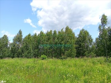 działka na sprzedaż 3005m2 działka Oddział