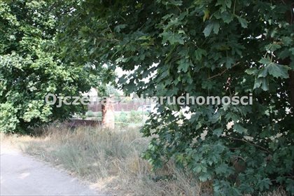 działka na sprzedaż 24943m2 działka Lisi Ogon