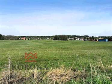 działka na sprzedaż 9666m2 działka Studzianki