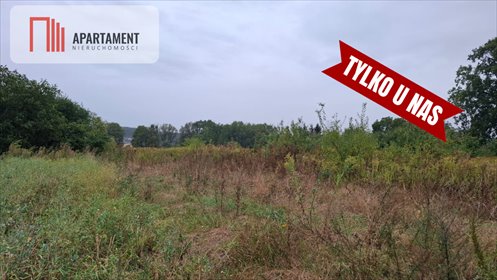 Polecam działkę 3927 m² z warunkami zabudowy w Bydgoszczy działka Bydgoszcz