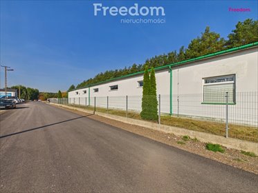 Hala 570 m² z bramą segmentową i monitoringiem zapraszam magazyn Białobrzegi, Kościelna