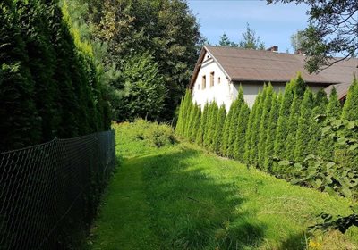 Działka budowlana na sprzedaż Jarnołtówek 2 700m2 Foto 2