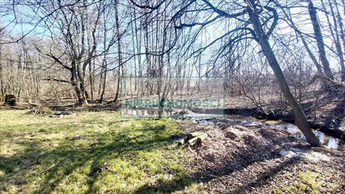 Działka 2513 m² z zabudową i terenami rolnymi działka Ciepłe