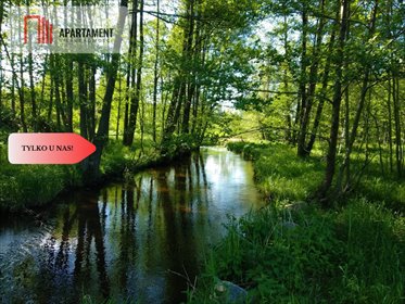 Działka 8800 m² z mediami, rzeka Prusina, pod dom. działka Łążek