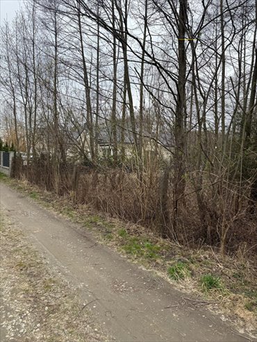 działka na sprzedaż 1731m2 działka Aleksandrów Łódzki