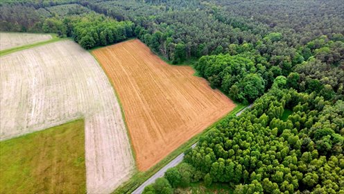 działka na sprzedaż 42200m2 działka Grotów