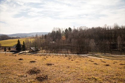 działka na sprzedaż 3300m2 działka Jodłowa