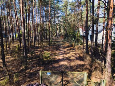 Leśna enklawa w Rosanowie działka Rosanów, Poprzeczna