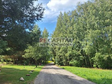 działka na sprzedaż 3000m2 działka Mariew