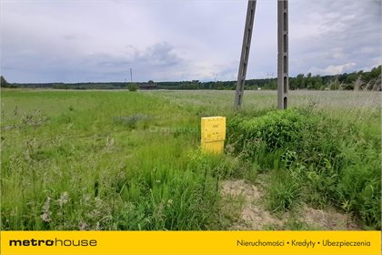 Działka rolna na sprzedaż Milejowice, Zakrzew 1 425m2 Foto 3