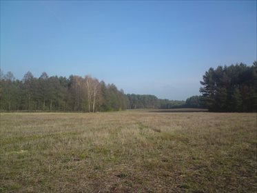 Działka siedliskowa na sprzedaż Krucz, Gminna 780m2 Foto 3