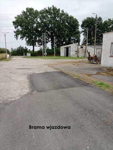 lokal użytkowy na sprzedaż 15685m2 lokal użytkowy Chałupki