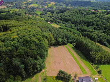 Do sprzedania działka 86 arów z warunkami zabudowy działka Chmielnik