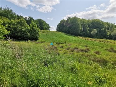 działka na sprzedaż 2996m2 działka Trzepowo, Cystersów