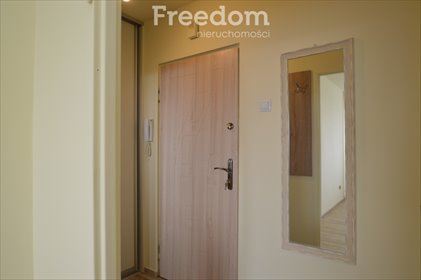 Kawalerka na wynajem Opole, Śródmieście, Ozimska 32m2 Foto 5